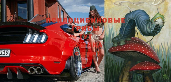 mdpv Янаул