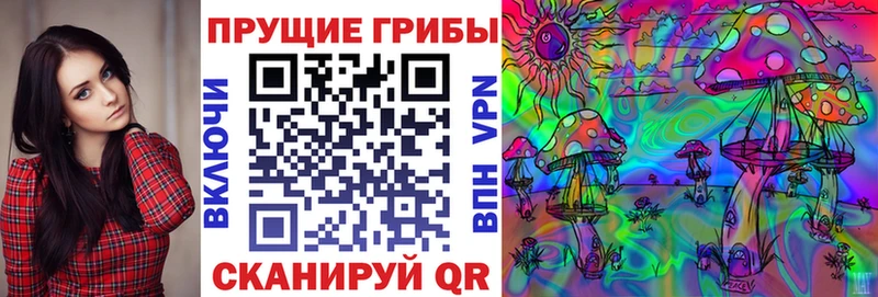 Псилоцибиновые грибы прущие грибы  Куровское 
